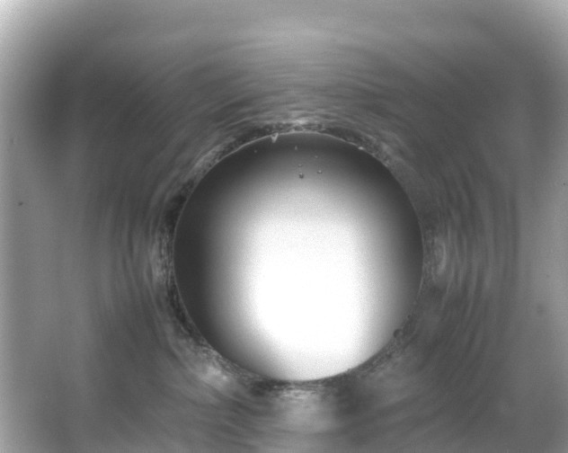 X0000066100236200603131238