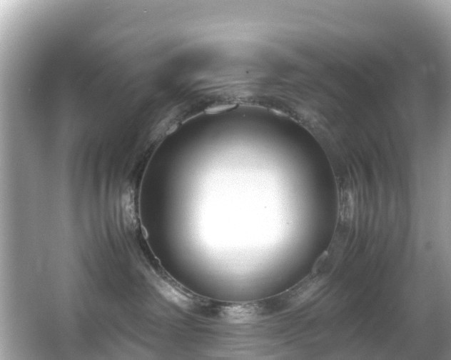 X0000066100238200603131238