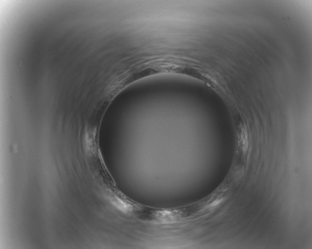 X0000066100239200603131238