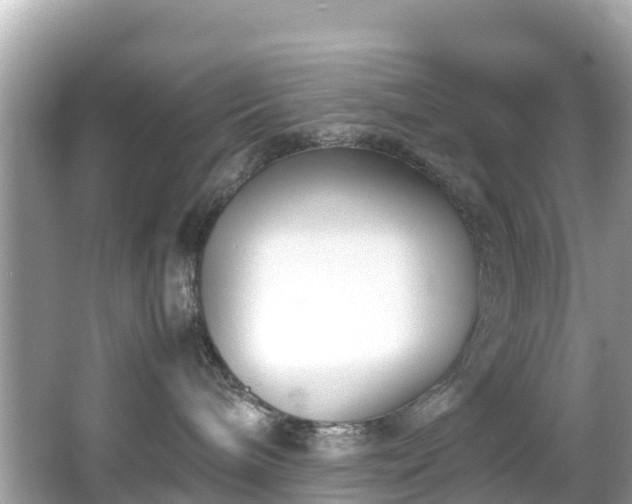 X0000066100240200603131238