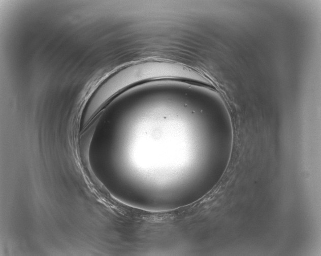 X0000066100241200603131237