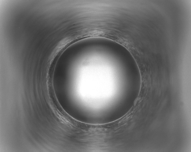 X0000066100242200603131237