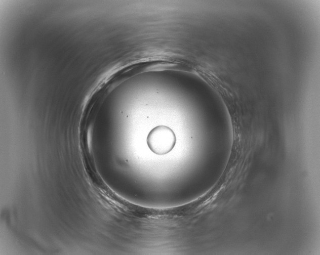 X0000066100244200603131237