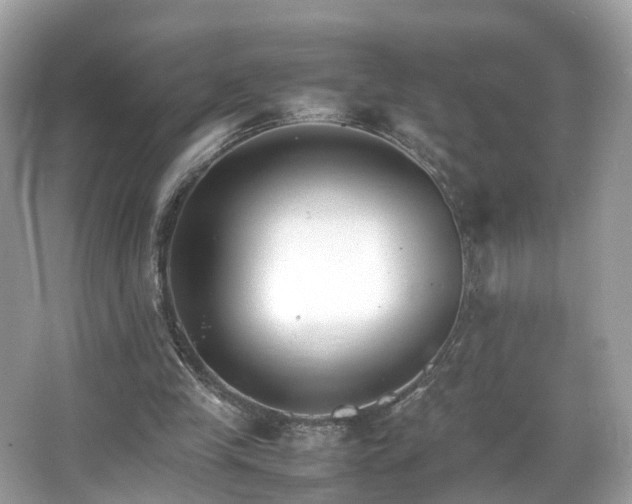 X0000066100245200603131237