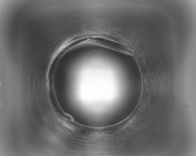 X0000066100246200603131237