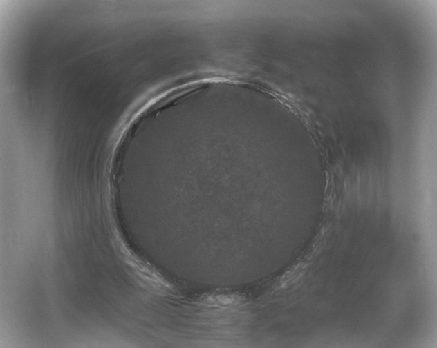 X0000066100247200603131237