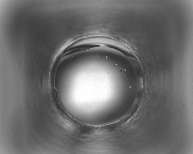 X0000066100248200603131237