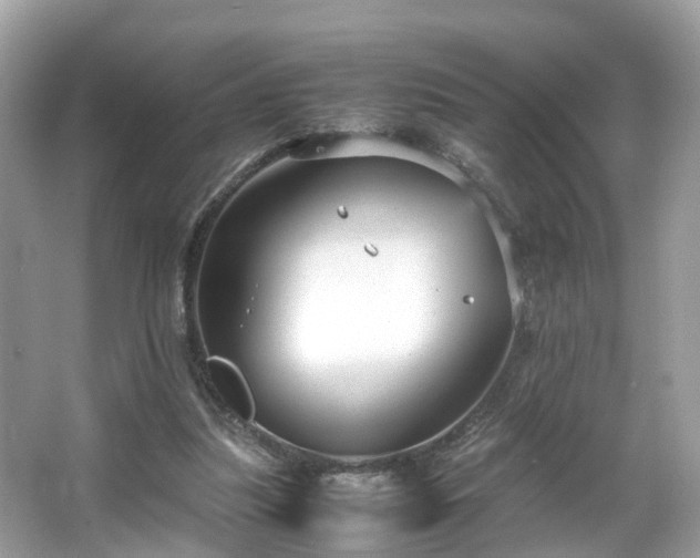 X0000066100251200603131237