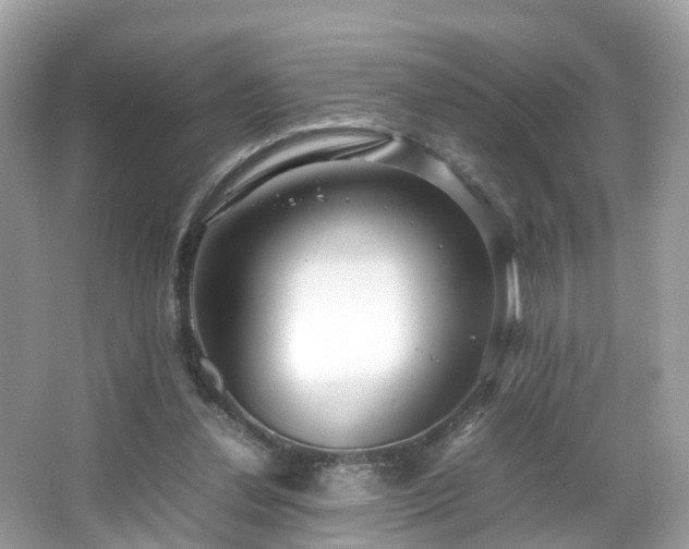 X0000066100252200603131237