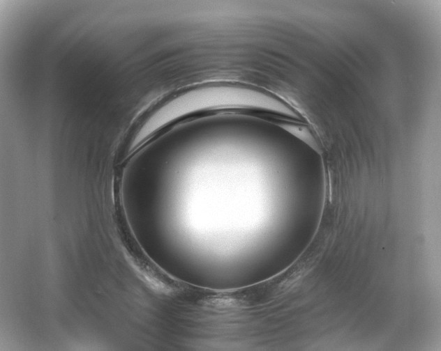 X0000066100253200603131237