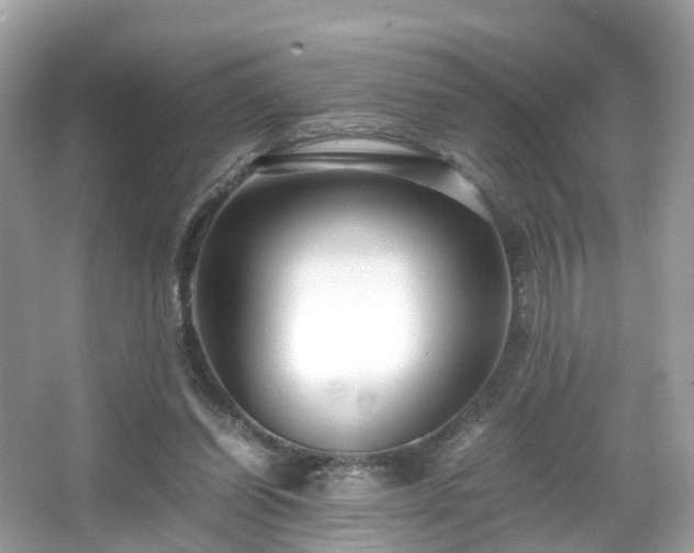 X0000066100254200603131237