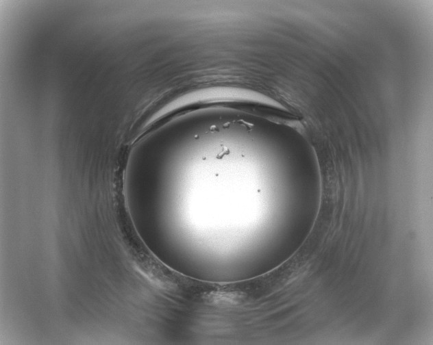 X0000066100255200603131237