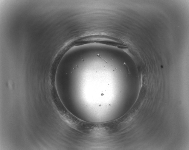 X0000066100256200603131237