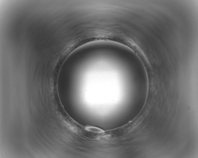 X0000066100257200603131237