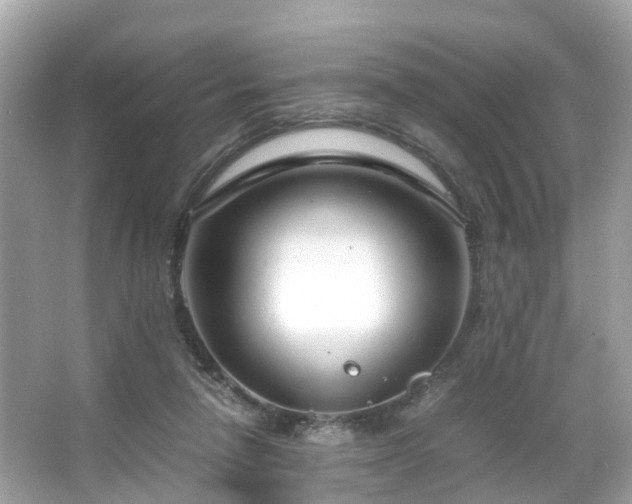 X0000066100258200603131237