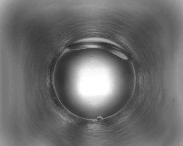 X0000066100259200603131237