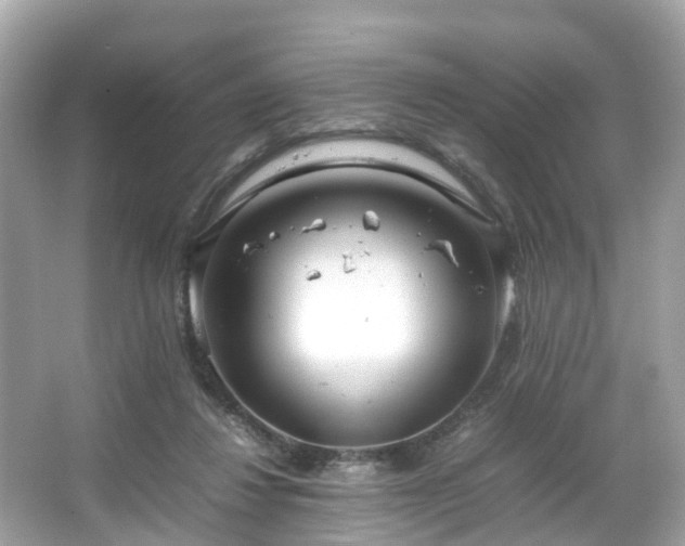 X0000066100260200603131237