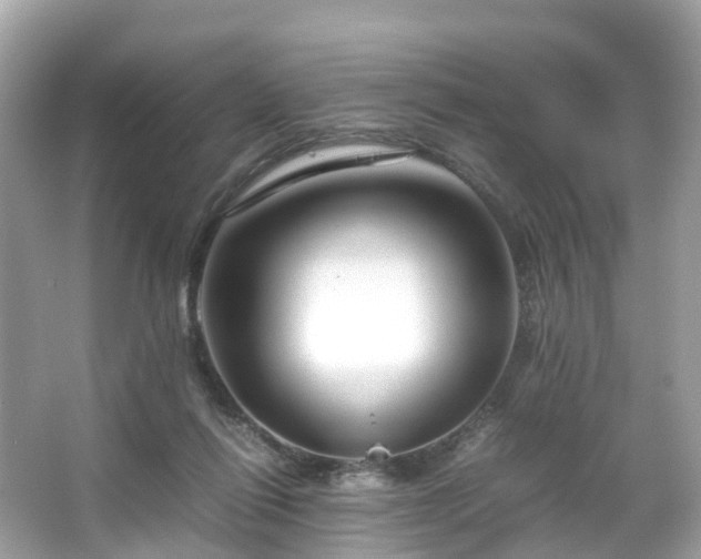 X0000066100262200603131237