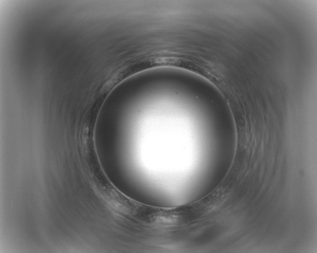 X0000066100263200603131237