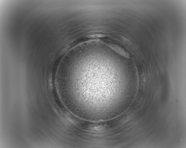 X0000066100267200603131238