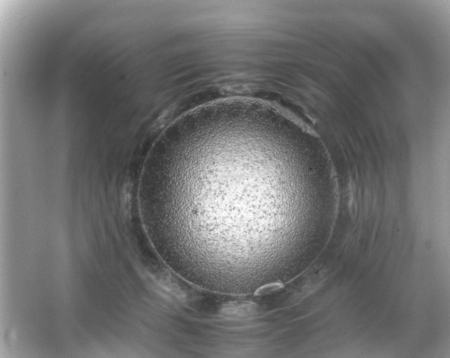 X0000066100271200603131238