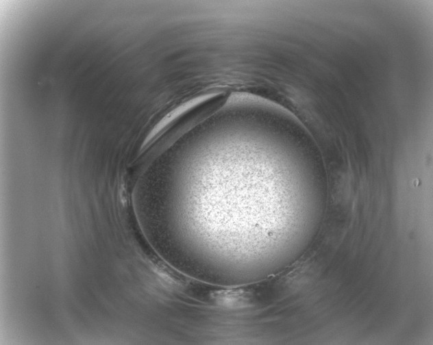 X0000066100273200603131238