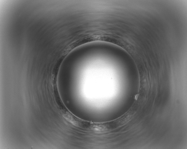 X0000066100275200603131238