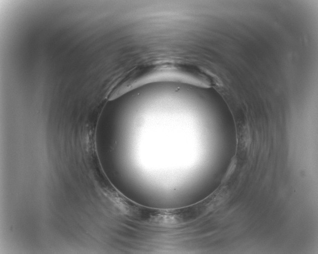 X0000066100276200603131238