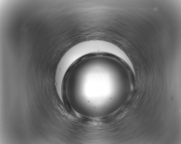 X0000066100284200603131238