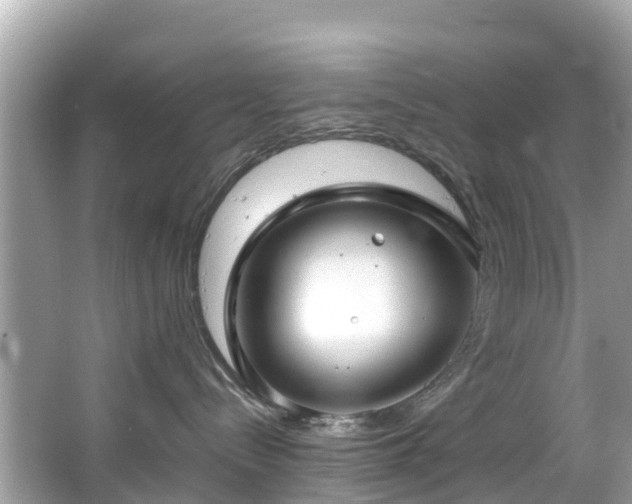 X0000066100288200603131238