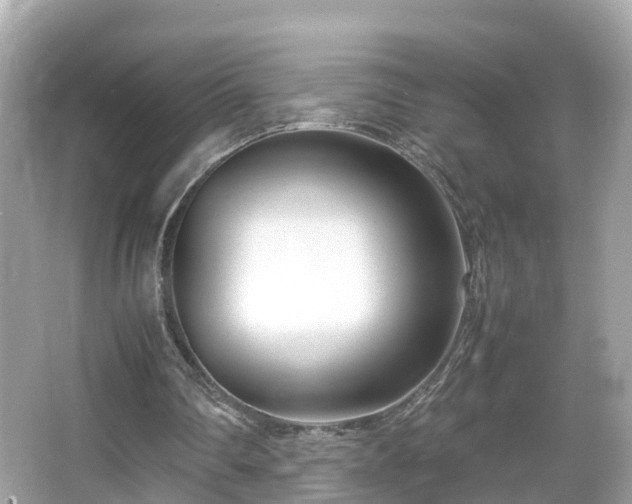 X0000066100290200603131237