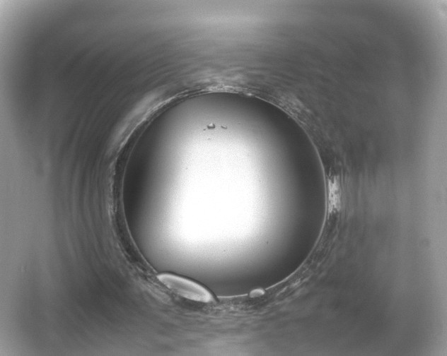 X0000066100291200603131237