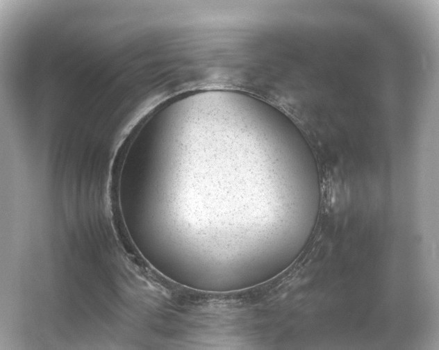 X0000066100292200603131237