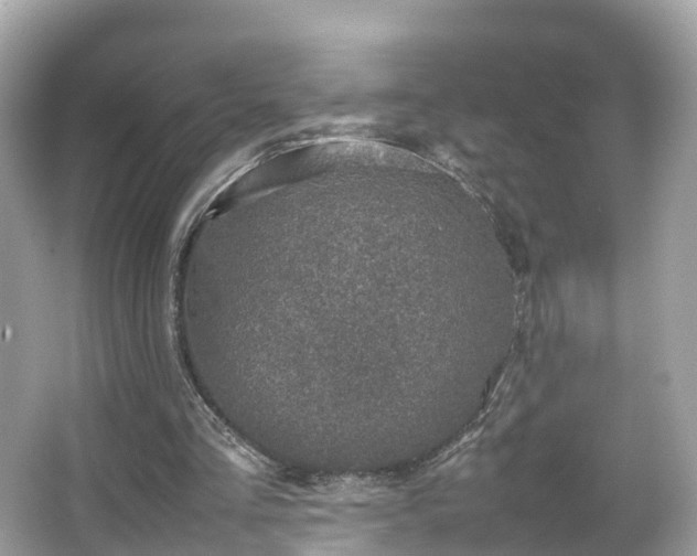 X0000066100293200603131237