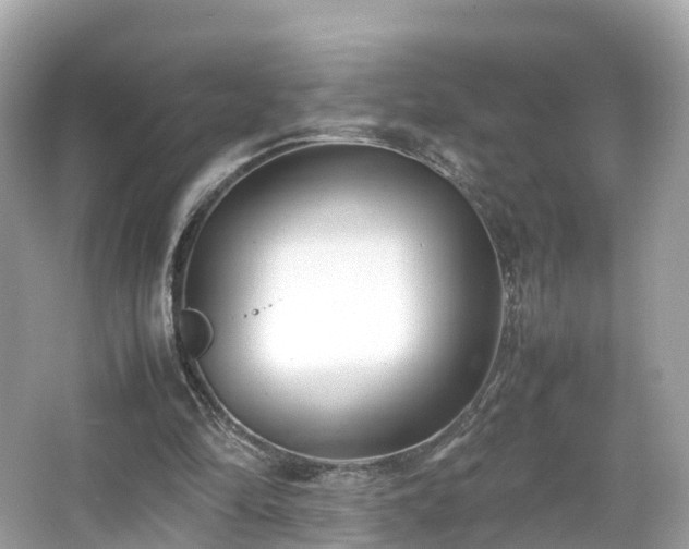 X0000066100294200603131237