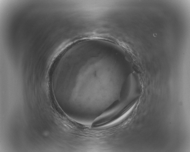 X0000066100295200603131237