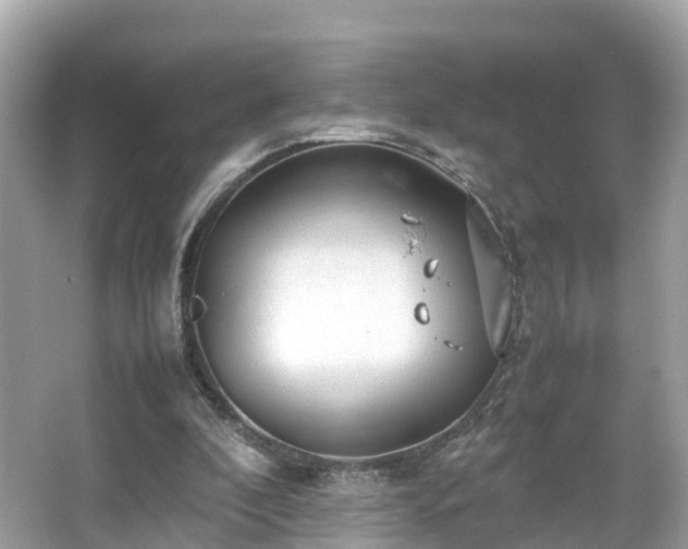 X0000066100296200603131237