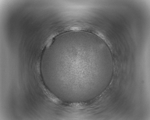 X0000066100297200603131237