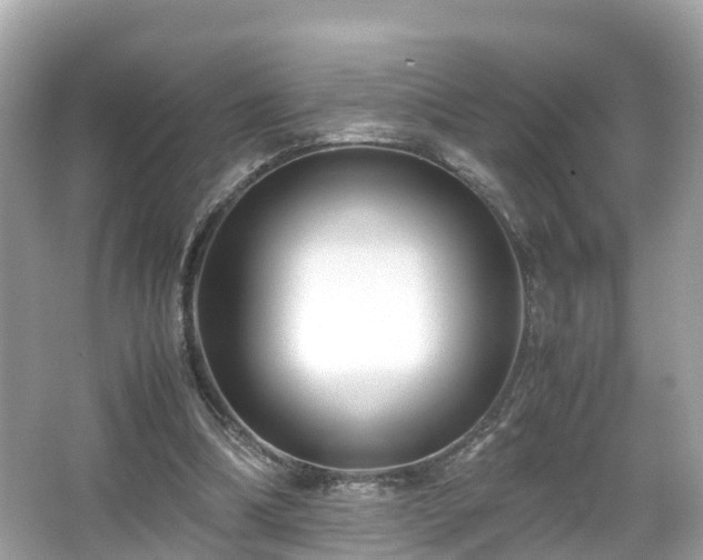 X0000066100298200603131237