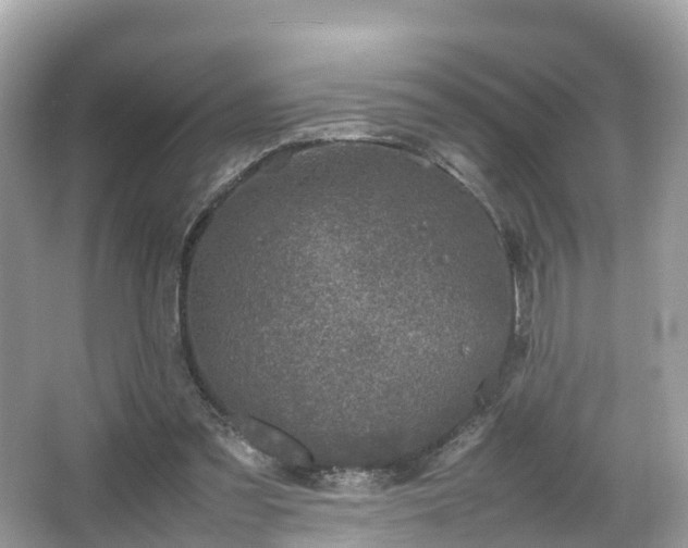 X0000066100301200603131237