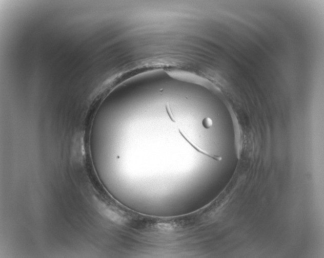 X0000066100302200603131237