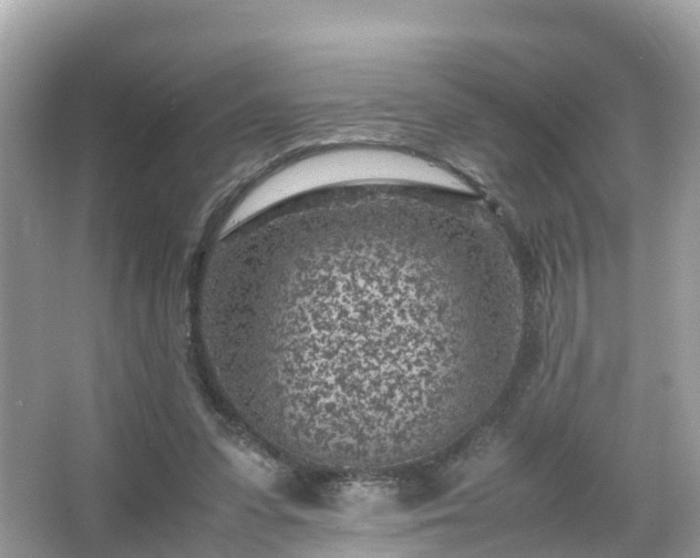 X0000066100303200603131237