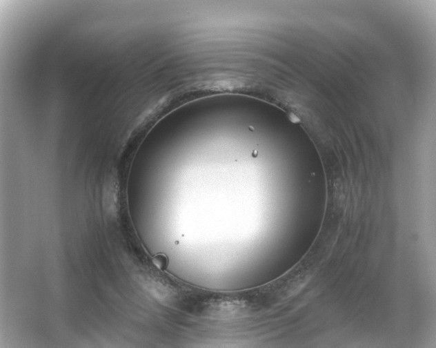 X0000066100304200603131237