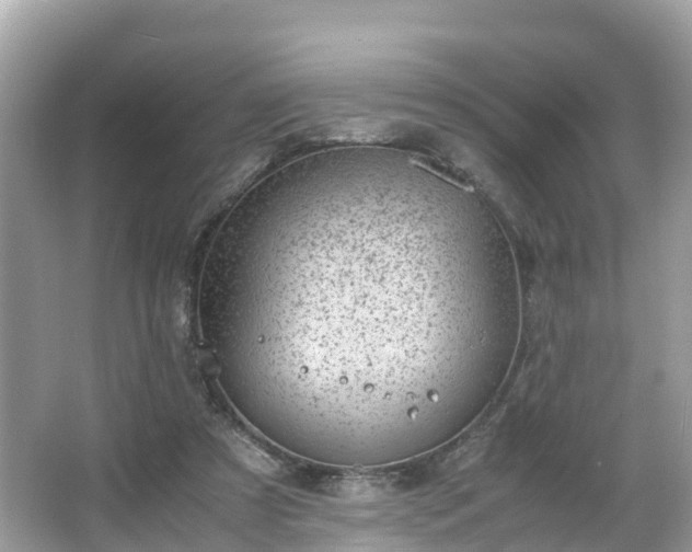 X0000066100305200603131237