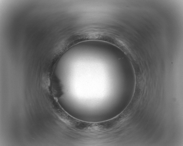 X0000066100307200603131237