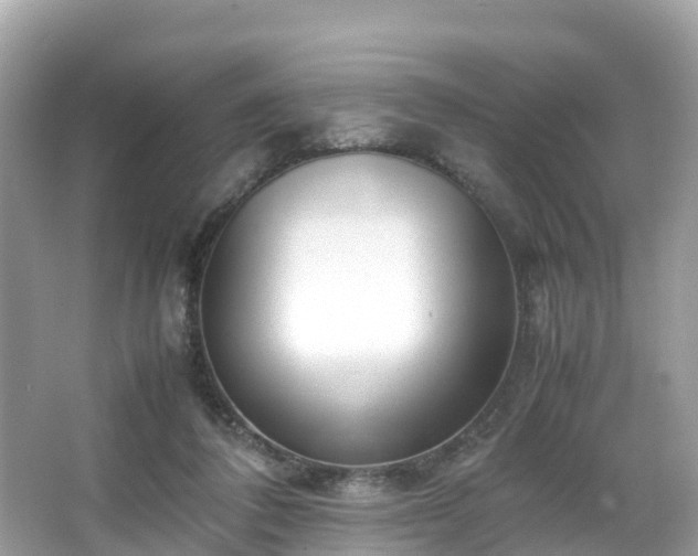 X0000066100308200603131237