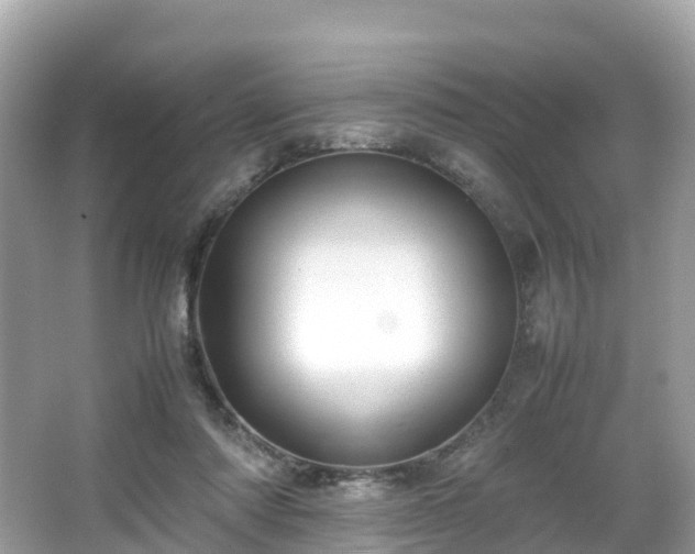 X0000066100310200603131237