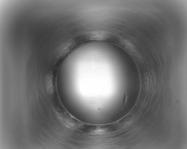 X0000066100312200603131237