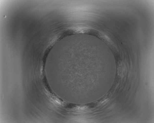 X0000066100314200603131237