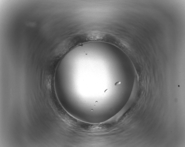 X0000066100315200603131237